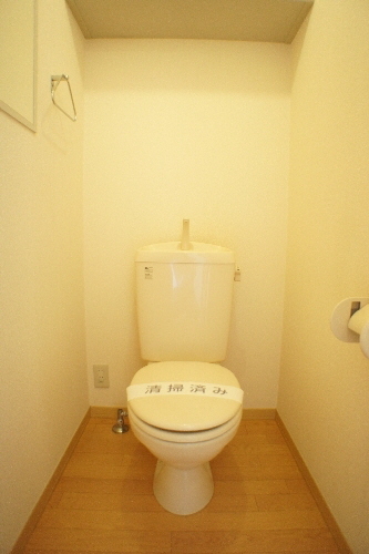 ヒルサイド善行Ⅴ 202号-11