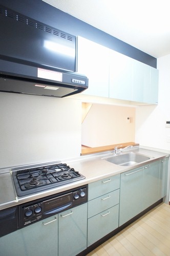 ロジュマン鶴間Ａ 101号-4