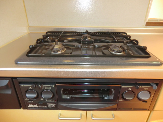 ビューテラスＡ 101号-5