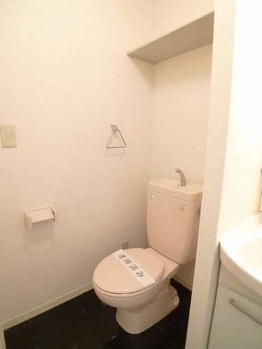 セントラルパイン長谷 102号-7