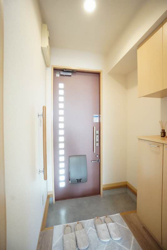 ピュアS 101号-11