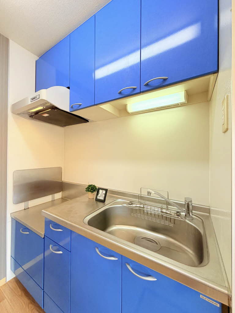 ユーチャリスＣ 103号-9