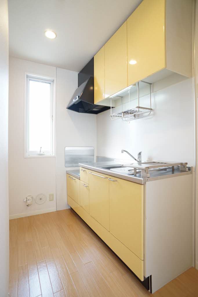 ライネスハイム 201号-4