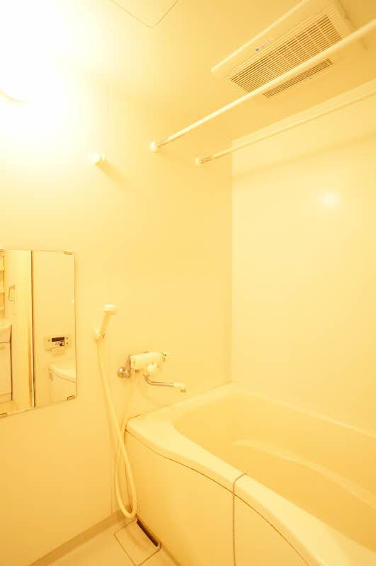 Ｄｒｅａｍ　Ｋｉｓｈｉ 302号-8