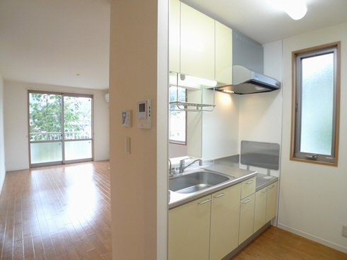 ｒｏｓａ 202号-8