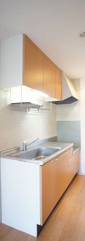 ロイヤルパレスⅠ号館 101号-11