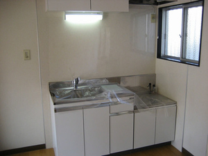 斉藤 ハイツ 203号-2
