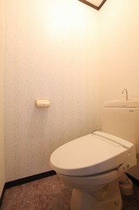 ドミール 大塚 C 201号-8