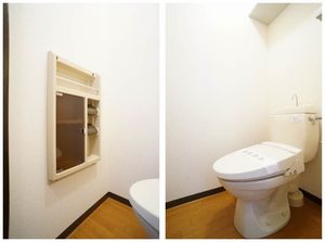 タウニー 細井 201号-11