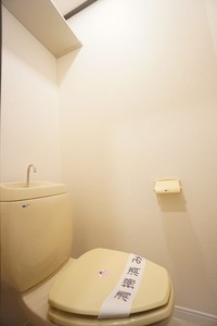 トモエ　ハイツ 206号-9