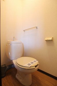 グレイス　アズマ 102号-11