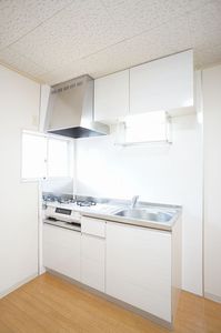 ロイヤルパレス B 101号-3