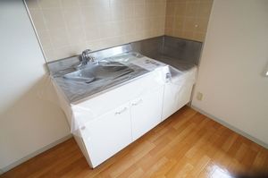 セントラルヴィレッヂ B 201号-8