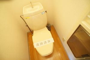 セントラルヴィレッヂ B 201号-11