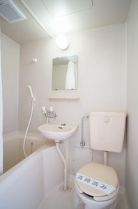 エクセルフラット　武里 205号-5