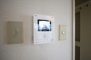 エクセルフラット　武里 305号-3