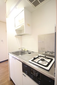 エクセルフラット　武里 305号-8