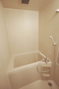 第一セキセイハイツ A 105号-3