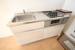 メゾン　Ｙ’ｓ 202号-10