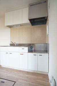 Ｃｏｕｒｔ　Ｖｉｌｌａｇｅ 101号-5