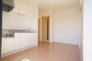 ファミール メゾン A 202号-3