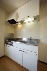 エクセル　グリーン 202号-3