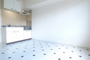 プラザ コルニエ 105号-3