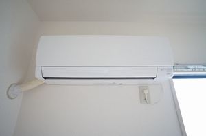 ウィステリア B 202号-10