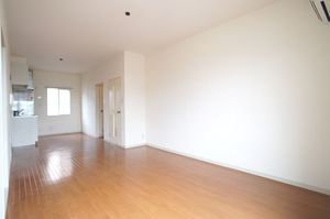 コットンバード　和泉　Ｂ 102号-4