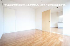 Dias 丸山台 102号-5