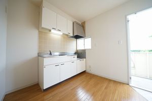 レスポワール 203号-3