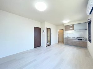 ハイネス・パレス　Ｂ 201号-9