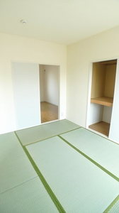 カデンツァ　Ｃ 102号-7