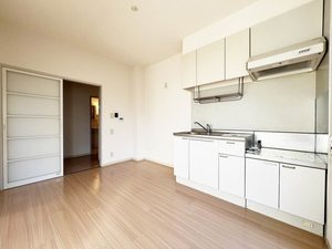 メープル タウン D 102号-8