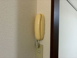 コム・フラット 205号-5