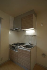 ビエナ・Ｓ 203号-3