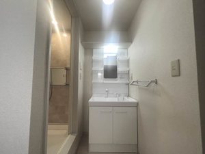 ベルテ調 102号-6