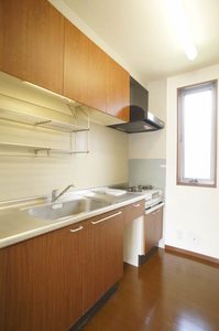 Ｓｏｌｅｉｌ　Ｃ 201号-3