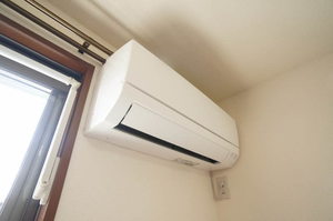 Ｓｏｌｅｉｌ　Ｃ 201号-9