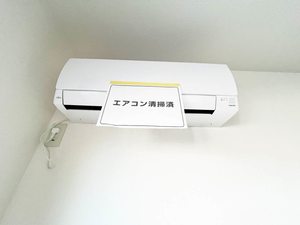 シティ東 八番館 101号-9
