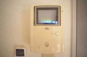 BIENA 201号-6