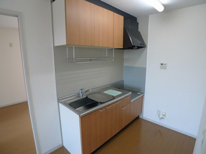 ラフィーネB 102号-3