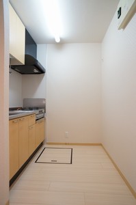 スーベニアⅥ 101号-6