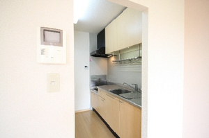 パルモオレンジ 102号-6