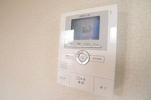 ｃａｔ　ｗａｌｋ 101号-13