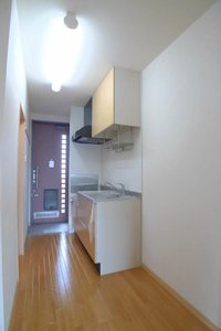 ルフラン新平台 301号-11