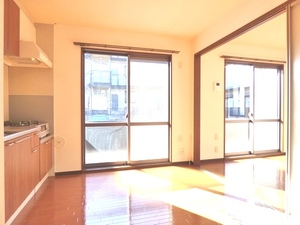 ヴィルドミール・S.S Ⅱ 101号-2