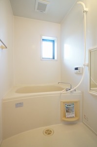 ハイネス　ウィスタリア 104号-5