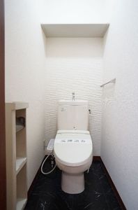 ステラ・ヒロ 203号-11