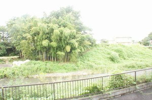 ピュアグリーン 102号-11